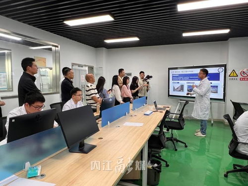 從“一”到“百” 內(nèi)江以技術(shù)咨詢?yōu)橛曷?，讓?chuàng)新種子長(zhǎng)成產(chǎn)業(yè)森林